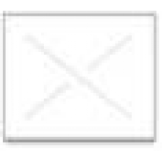 1812 Garvey Gun Labels - White